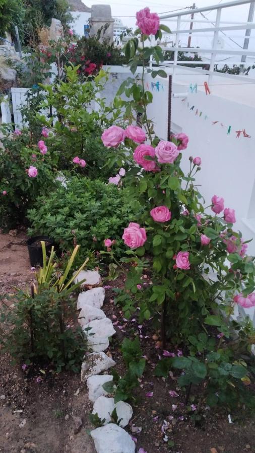 Ornella'S & Laura'S Secret Place Livadia  ภายนอก รูปภาพ