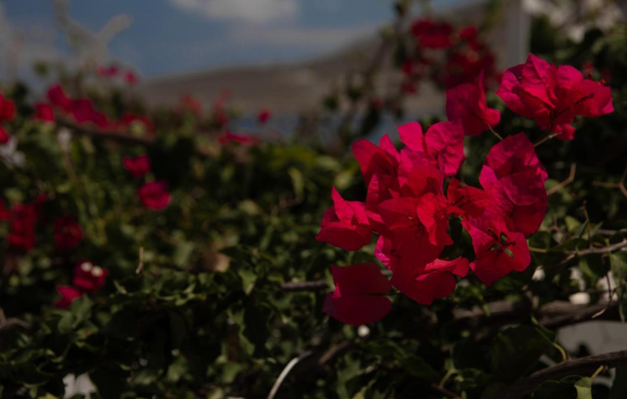 Ornella'S & Laura'S Secret Place Livadia  ภายนอก รูปภาพ